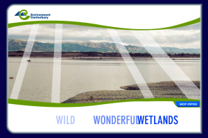 wonderful_wild_wetlands